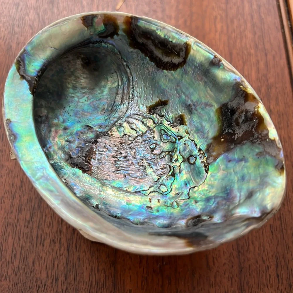 Abalone Shell Incense Burner-Smudge Bowl - Picture 9 of 13